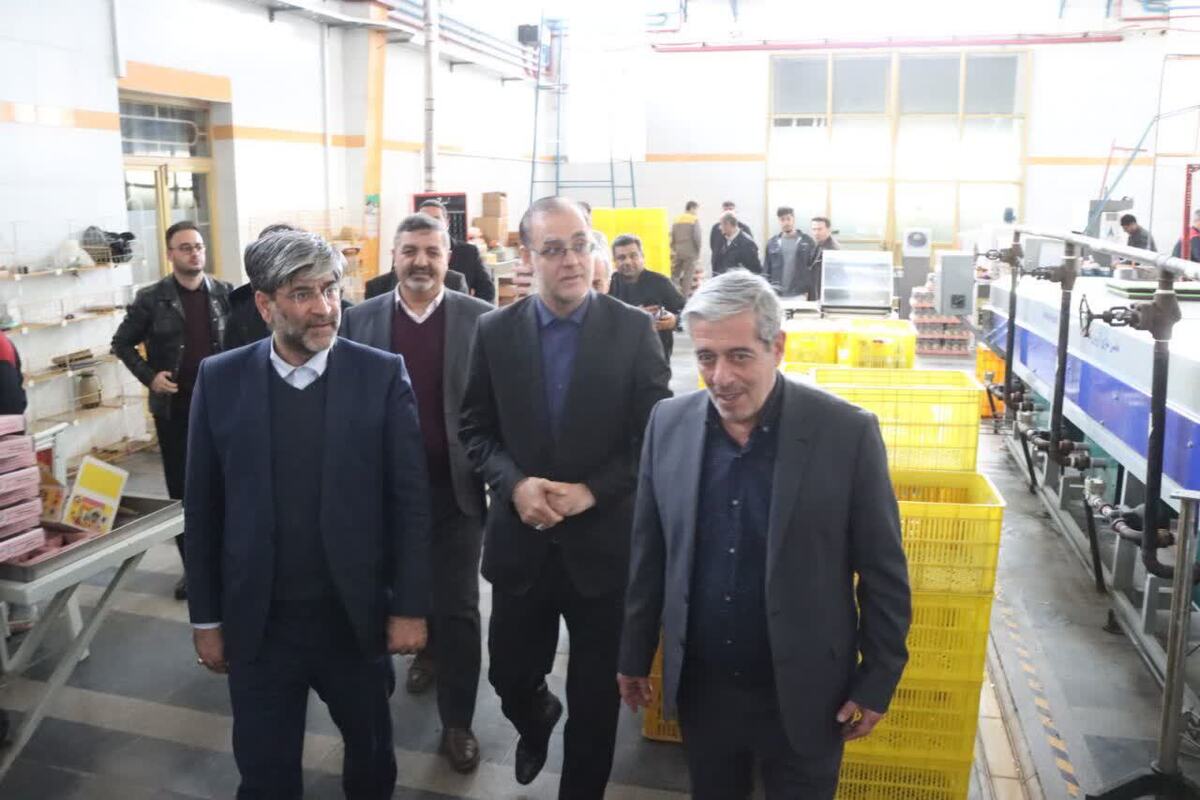 مسئولان قضایی دادگستری آذربایجان غربی از سه واحد تولیدی در ارومیه بازدید کردند