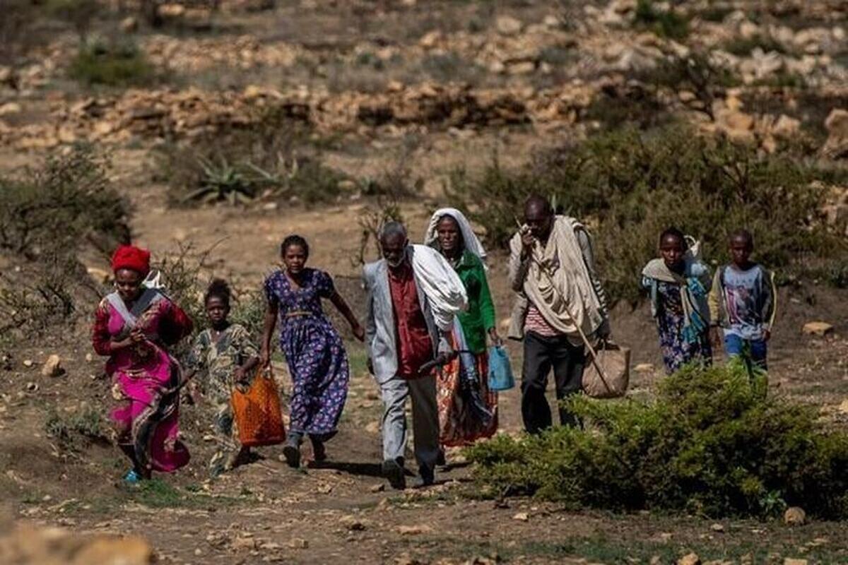 جنگ سودان ۳.۵ میلیون نفر را آواره کرد