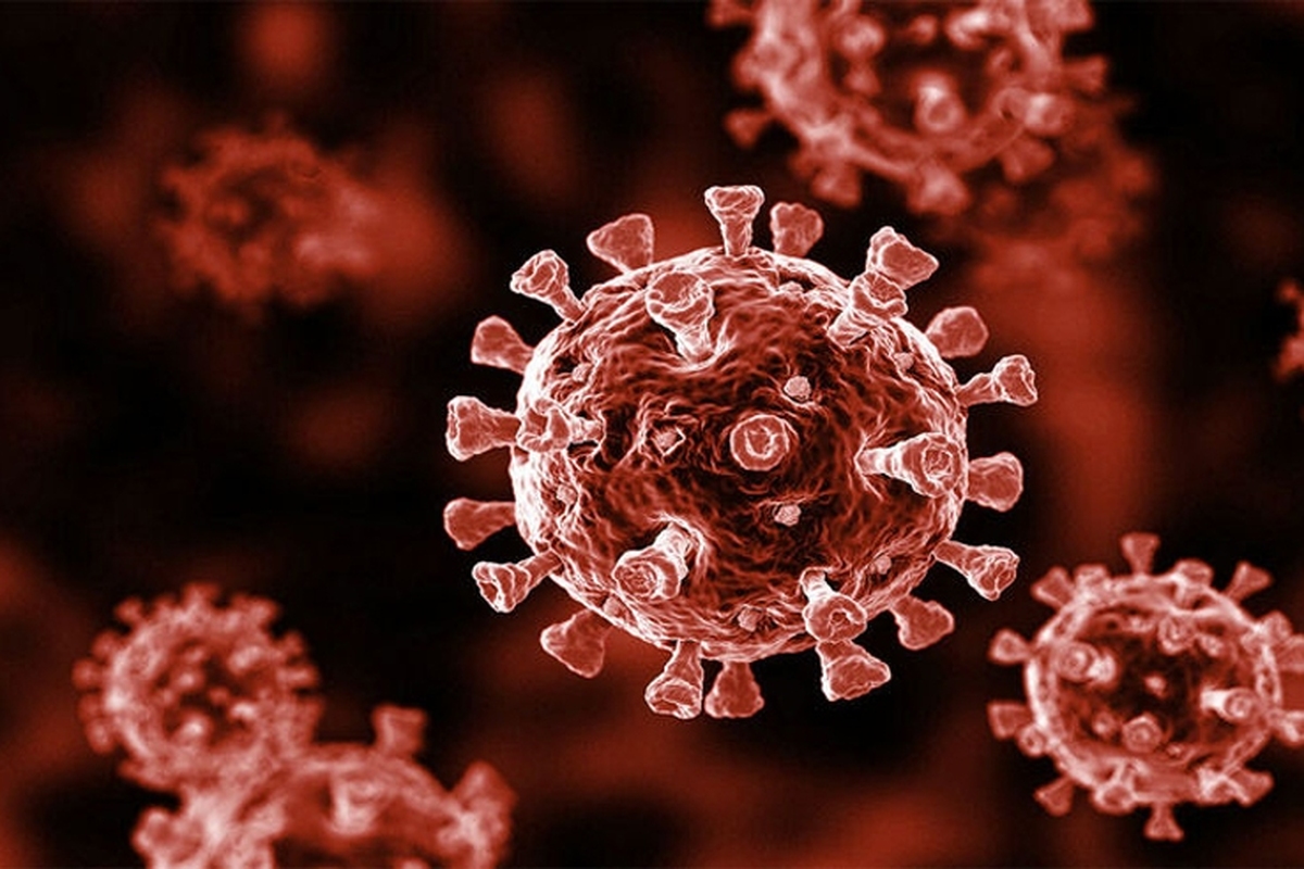 گونه جدید ویروس کرونا وارد ایران نشده است