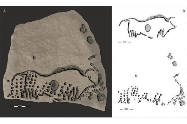 کشف هنر نقاشی نقطه‌ای روی سنگ در فرانسه با قدمت 38 هزار سال + تصاویر