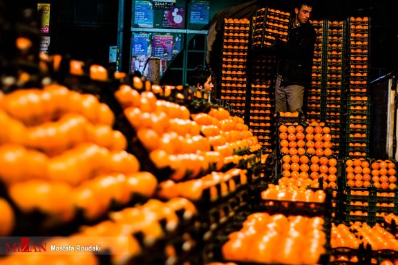 پرتقال وارداتی چاره گرانی تولید داخل/ پرتقال جنوب کیلویی 12 هزار تومان