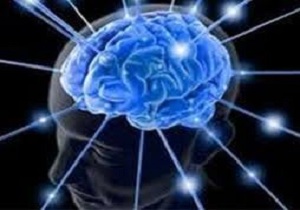 چرا مغز انسان دو نیمکره دارد؟