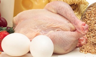 افزایش عرضه تخم‌مرغ در بازار/ هرکیلو شترمرغ 48 هزار تومان