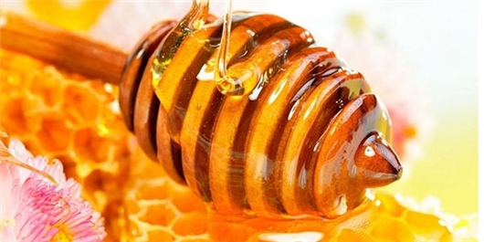 تولید عسل در 