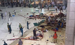 دولت در صورت قصور عربستان در پیگیری حادثه مکه وارد عمل شود