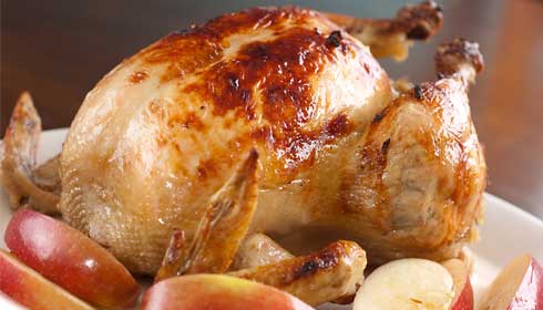 چرا بدن انسان نیاز به تغذیه از گوشت مرغ دارد؟