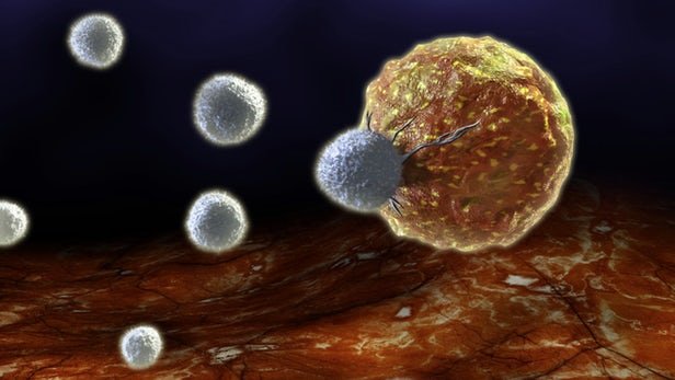 جنگ نانوذرات طلا با تومورهای سرطانی
