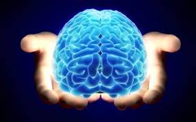 بیشترین علت مراجعات به متخصصین مغز و اعصاب چیست؟