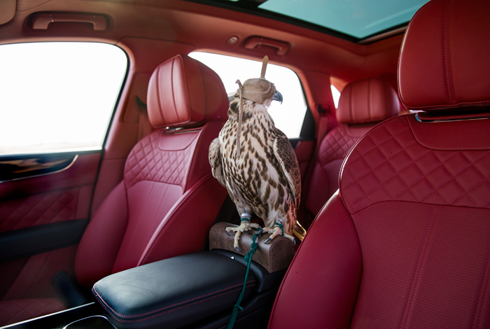تلاش بنتلی برای جلب نظر اعراب ثروتمند با آپشن پرنده شکاری! +تصاویر