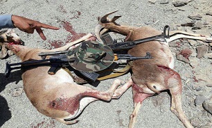 شناسایی عاملان شکار بی رحمانه حیوانات در سیستان و بلوچستان