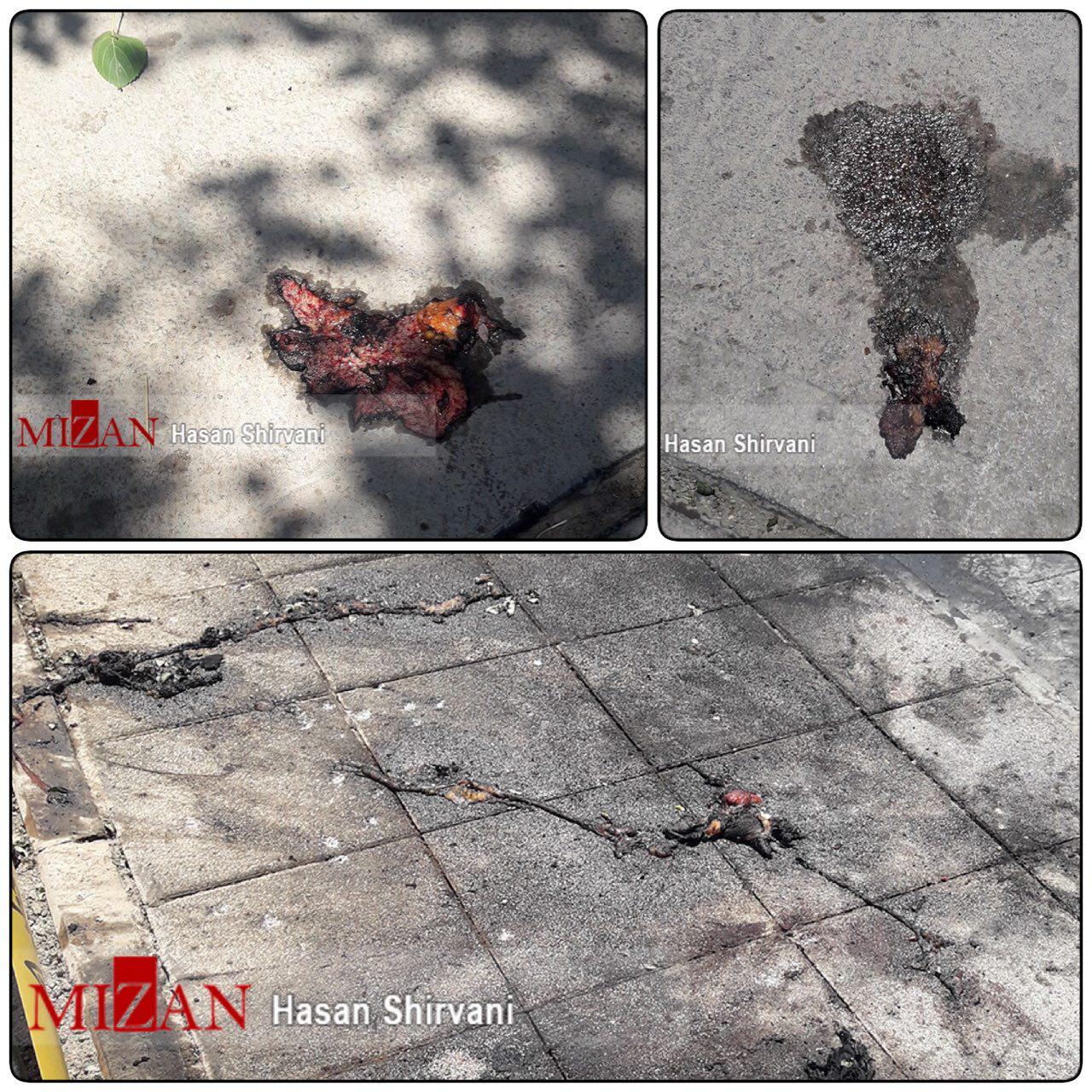 تصاویر قسمت هایی از بدن تروریست منفجر شده در حرم امام