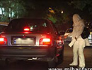 درخواست جمع‌ آوری زنان تن فروش تهرانی