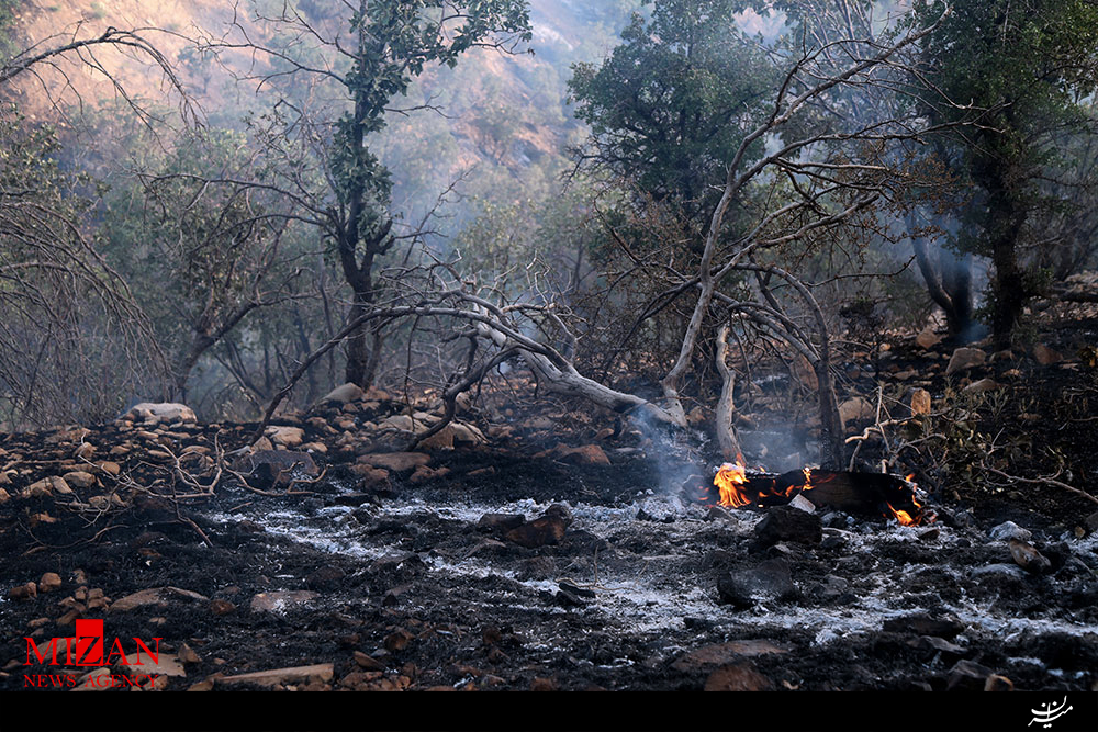 آتش سوزی مراتع در فارس این بار ۲۰ هکتار
