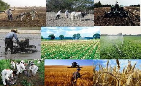 توسعه روستایی پایدار در کنار توسعه کشاورزی پایدار