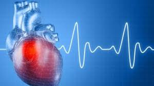 افزایش احتمال فرزندآوری بوسیله ژن های مرتبط با بیماری قلبی!