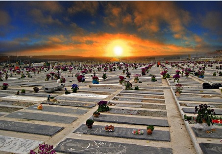 هماهنگی با راهور و فرودگاه برای انتقال یا دفن « شهداء منا»/ شهدا تهرانی در قطعه 50 بهشت‌زهرا آرام می گیرند