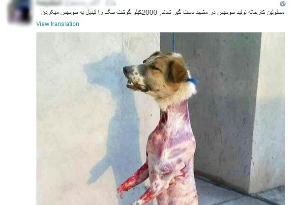 2000کیلو گوشت سگ تبدیل به سوسیس شد؟ /عکس