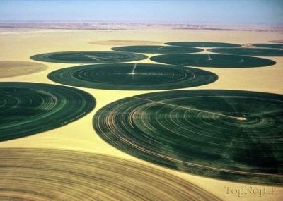 زمین‌های کشاورزی در عربستان چگونه طراحی شده‌اند؟