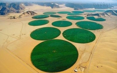 زمین‌های کشاورزی در عربستان چگونه طراحی شده‌اند؟
