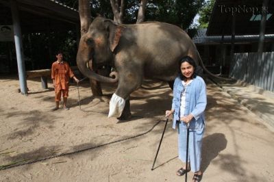 اولین بیمارستان مخصوص فیل‌ها در تایلند + عکس