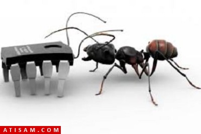 ساخت نانوروبات های خودتمیز شونده با الهام از مورچه