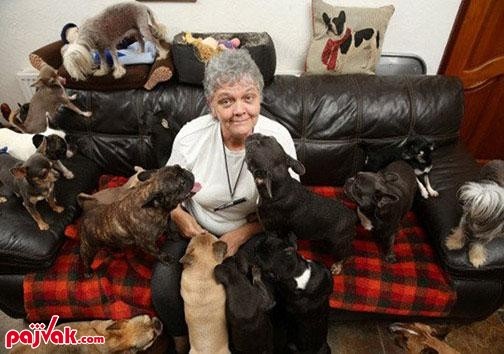 زندگی با ۴۱ سگ در یک خانه +عکس