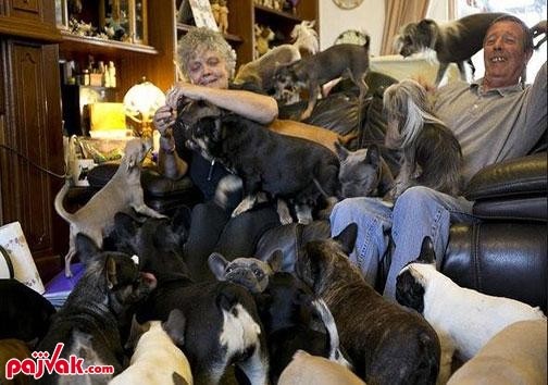 زندگی با ۴۱ سگ در یک خانه +عکس
