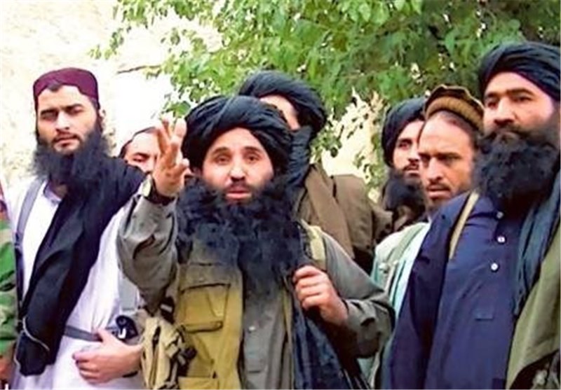 تحریک طالبان 
