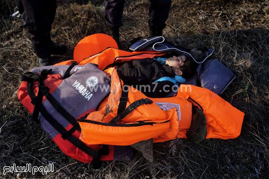 جسد آیلان جدید در سواحل یونان! +تصاویر