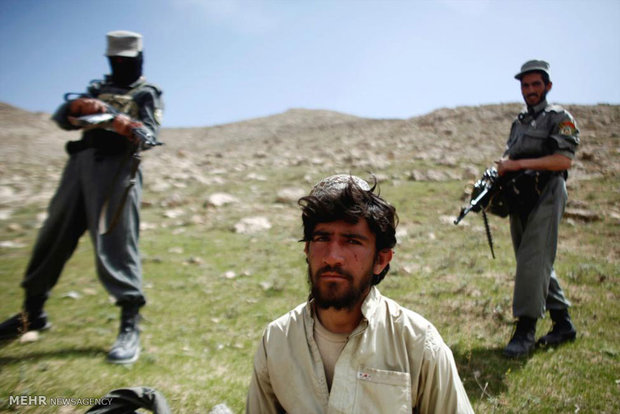 760 تن از عناصر طالبان در طول ۲ ماه پیش کشته شدند