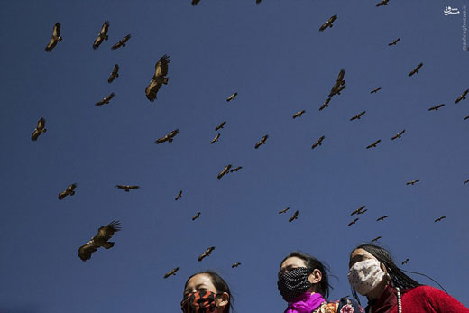 قومی که اجسادشان را به کرکس‌ها هدیه می‌کنند + عکس