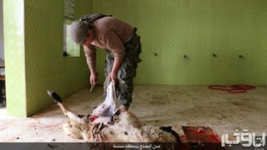 کشتارگاه داعش + تصاویر