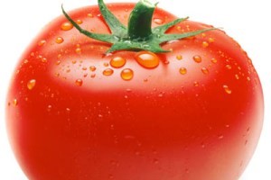 حرام اعلام شدن مصرف گوجه فرنگی