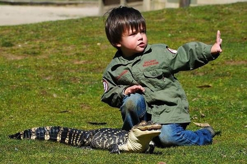 کودکی 3 ساله و شجاع مسئول تمساح های باغ وحش +عکس