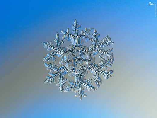 دانه برف زیر میکروسکوپ + تصاویر