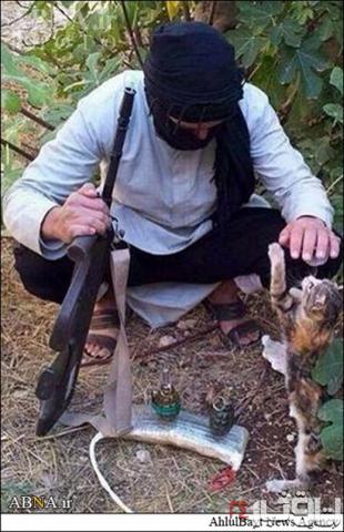 داعش مهربان +عکس