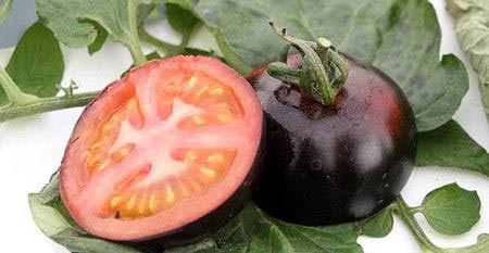پرورش گوجه فرنگی به رنگ سیاه +عکس