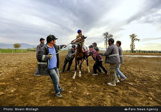 هفته دهم مسابقات اسبدوانی کورس پاییزه گنبد + تصاویر