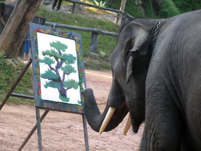 هنر باور نکردنی و خارق العاده یک فیل +تصاویر