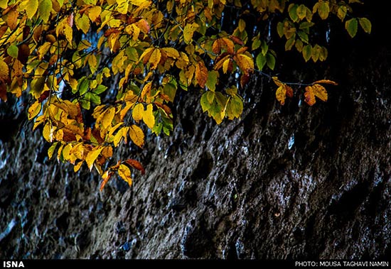 طبیعت چشم‌نواز پاییز در گردنه حیران + تصاویر