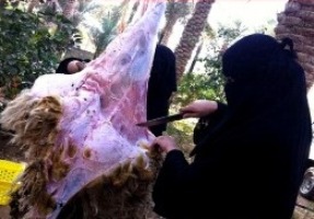 وقتی که دختران سعودی قصاب میشوند +تصاویر