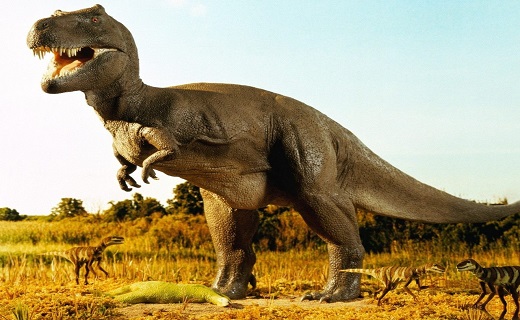 کشف یک گونه جدید دایناسور + عکس