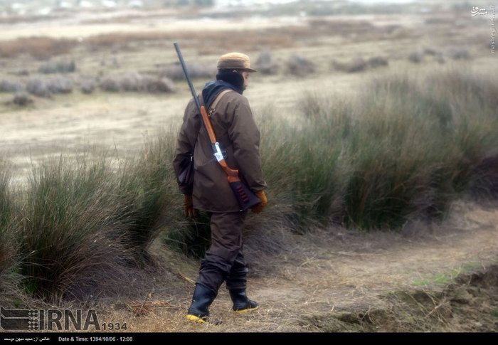 شکار پرندگان در بندر ترکمن +تصاویر