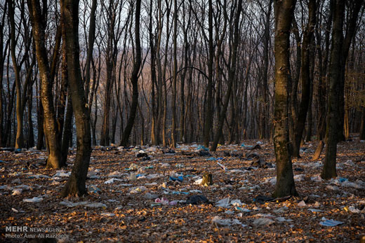 دپوی زباله در جنگل + تصاویر