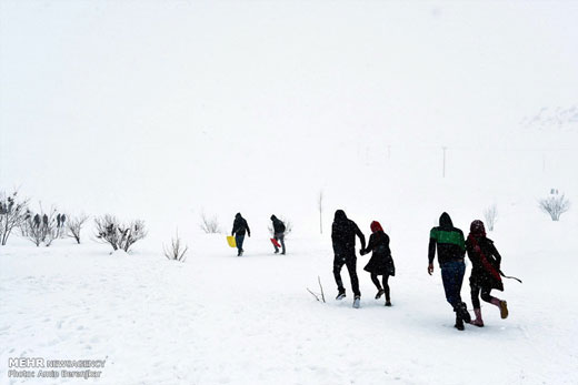 تفریحات زمستانه در ارتفاعات سپیدان + تصاویر