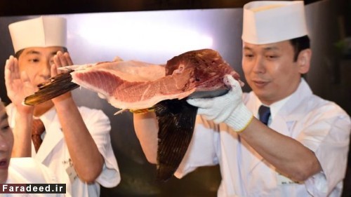 فروش یک ماهی به قیمت 350000000 تومان +تصاویر