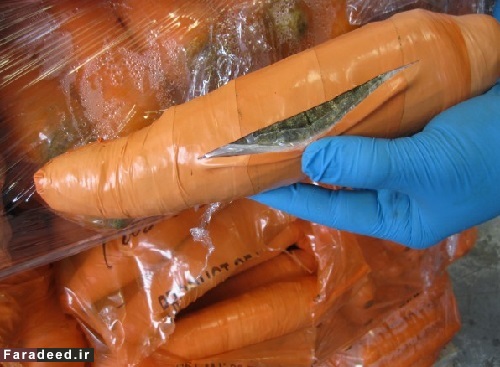 قاچاق در هویج به ارزش نیم میلیون دلار +عکس