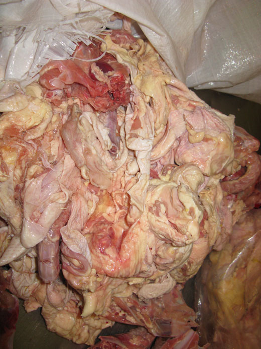 عوارض خطرناک مصرف پوست مرغ