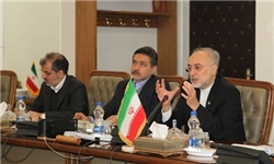 همکاری مشترک ایران و چک در زمینه نظام ایمنی هسته‌ای و تجهیزات نیروگاهی