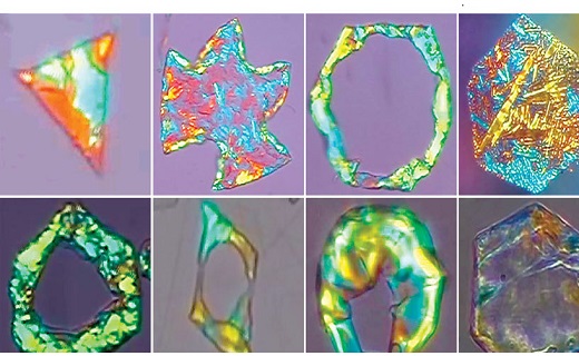 راز قطرات روغن زیر میکروسکوپ + تصاویر